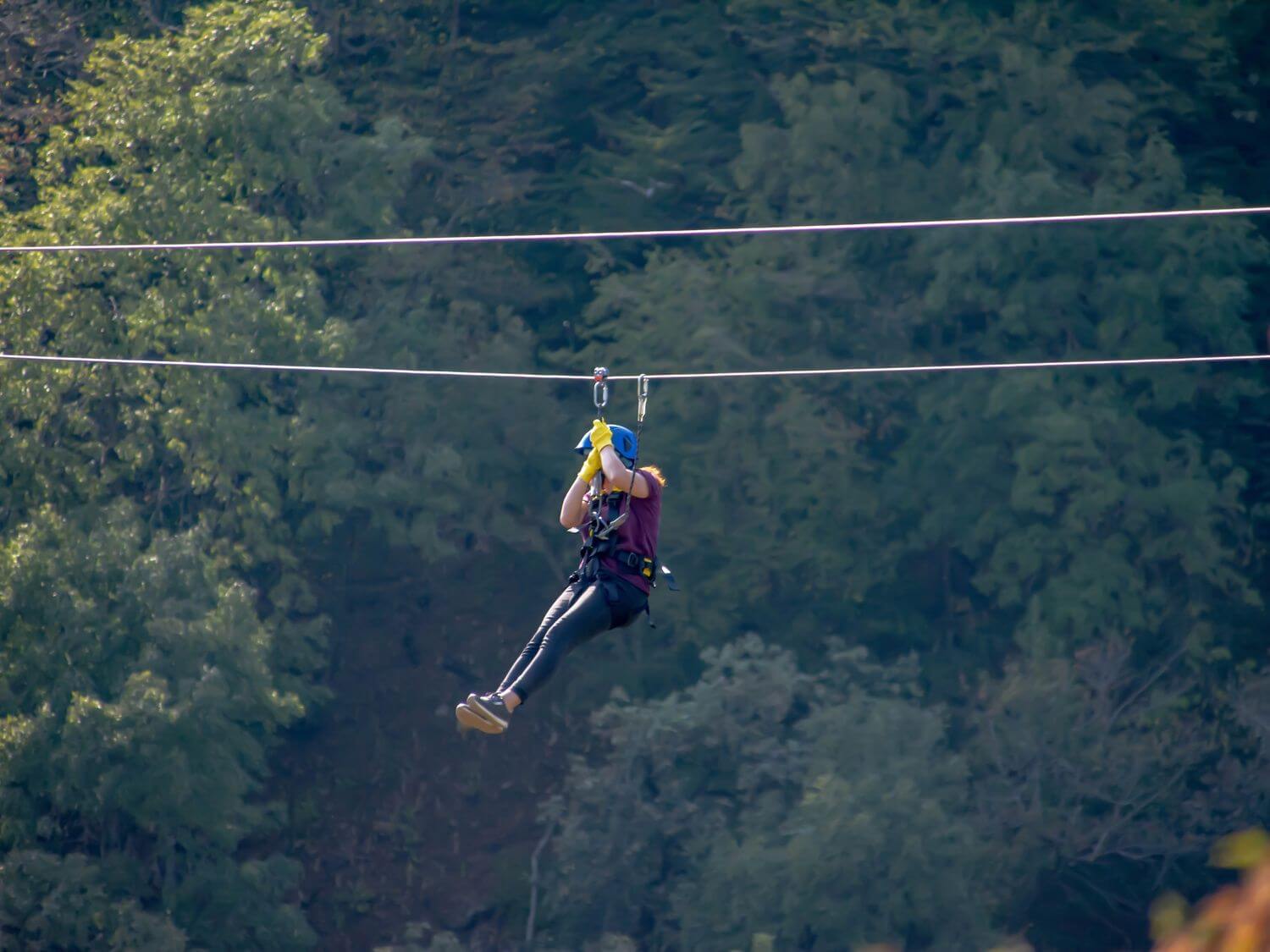 Zipline in a forest